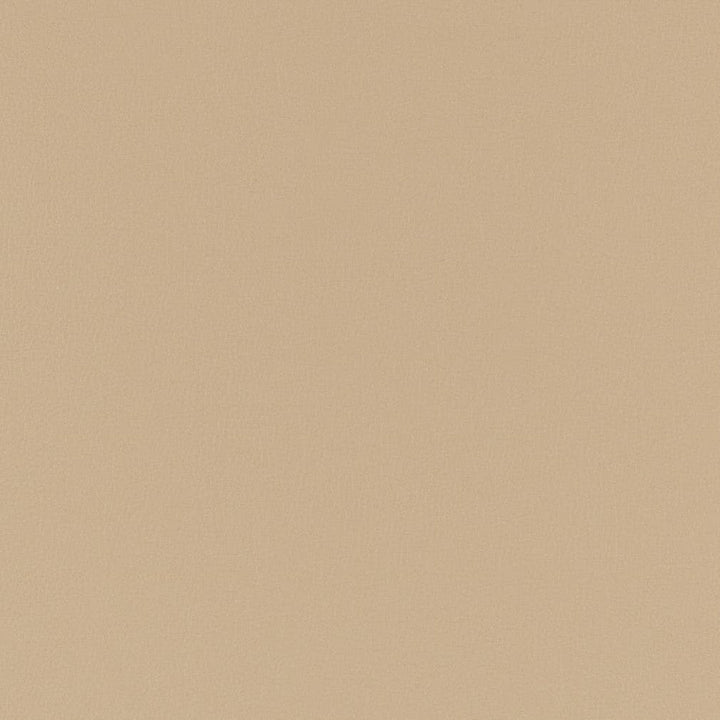 V780 Taupe by Charlotte Designer Fabric Value Vinyl III 22oz, Face: 100% Polyurethane, Back: 70% Polyester, 30% Cotton Asia Exceeds 40,0000 Wyzenbeek Rubs (Heavy Duty) </p><p>Repeat: No Repeat 54 Inches - Swanky Fabrics -