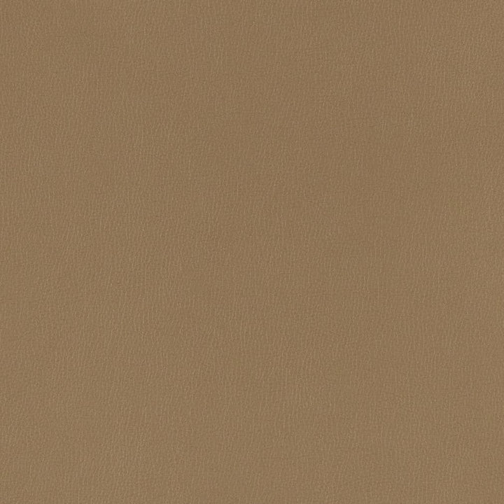 V782 Hazelnut by Charlotte Designer Fabric Value Vinyl III 22oz, Face: 100% Polyurethane, Back: 70% Polyester, 30% Cotton Asia Exceeds 40,0000 Wyzenbeek Rubs (Heavy Duty) </p><p>Repeat: No Repeat 54 Inches - Swanky Fabrics -
