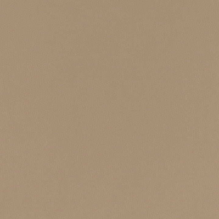 V784 Pewter by Charlotte Designer Fabric Value Vinyl III 22oz, Face: 100% Polyurethane, Back: 70% Polyester, 30% Cotton Asia Exceeds 40,0000 Wyzenbeek Rubs (Heavy Duty) </p><p>Repeat: No Repeat 54 Inches - Swanky Fabrics -