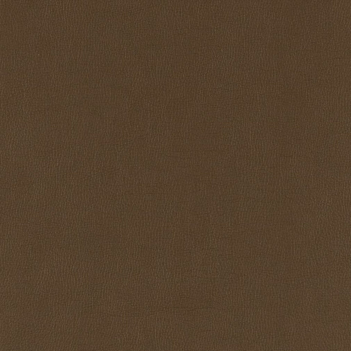 V785 Java by Charlotte Designer Fabric Value Vinyl III 22oz, Face: 100% Polyurethane, Back: 70% Polyester, 30% Cotton Asia Exceeds 40,0000 Wyzenbeek Rubs (Heavy Duty) </p><p>Repeat: No Repeat 54 Inches - Swanky Fabrics -