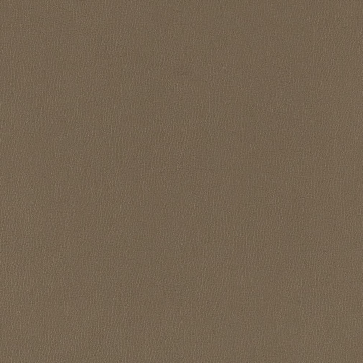 V786 Iron by Charlotte Designer Fabric Value Vinyl III 22oz, Face: 100% Polyurethane, Back: 70% Polyester, 30% Cotton Asia Exceeds 40,0000 Wyzenbeek Rubs (Heavy Duty) </p><p>Repeat: No Repeat 54 Inches - Swanky Fabrics -