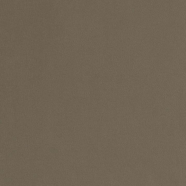 V787 Ash by Charlotte Designer Fabric Value Vinyl III 22oz, Face: 100% Polyurethane, Back: 70% Polyester, 30% Cotton Asia Exceeds 40,0000 Wyzenbeek Rubs (Heavy Duty) </p><p>Repeat: No Repeat 54 Inches - Swanky Fabrics -