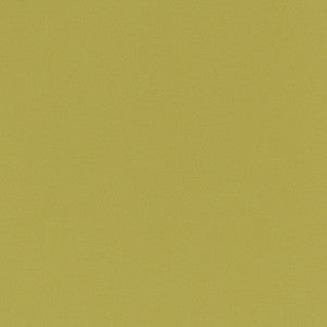 Charlotte Fabric V789 Spring