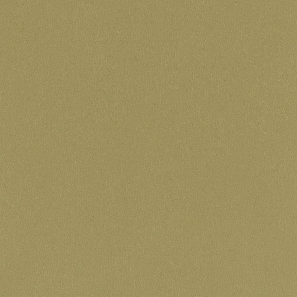 V790 Moss by Charlotte Designer Fabric Value Vinyl III 22oz, Face: 100% Polyurethane, Back: 70% Polyester, 30% Cotton Asia Exceeds 40,0000 Wyzenbeek Rubs (Heavy Duty) </p><p>Repeat: No Repeat 54 Inches - Swanky Fabrics -