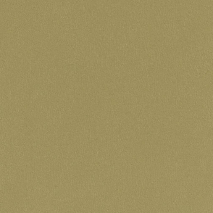 V790 Moss by Charlotte Designer Fabric Value Vinyl III 22oz, Face: 100% Polyurethane, Back: 70% Polyester, 30% Cotton Asia Exceeds 40,0000 Wyzenbeek Rubs (Heavy Duty) </p><p>Repeat: No Repeat 54 Inches - Swanky Fabrics -
