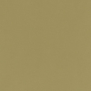 Charlotte Fabric V790 Moss