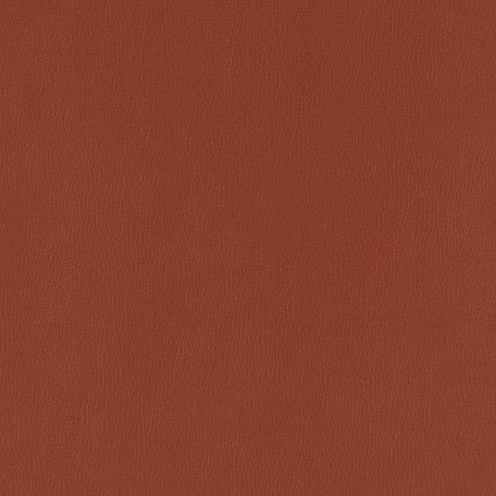 V794 Brick by Charlotte Designer Fabric Value Vinyl III 22oz, Face: 100% Polyurethane, Back: 70% Polyester, 30% Cotton Asia Exceeds 40,0000 Wyzenbeek Rubs (Heavy Duty) </p><p>Repeat: No Repeat 54 Inches - Swanky Fabrics -