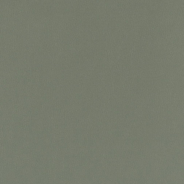 V798 Slate by Charlotte Designer Fabric Value Vinyl III 22oz, Face: 100% Polyurethane, Back: 70% Polyester, 30% Cotton Asia Exceeds 40,0000 Wyzenbeek Rubs (Heavy Duty) </p><p>Repeat: No Repeat 54 Inches - Swanky Fabrics -