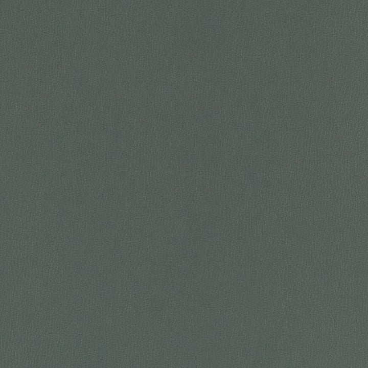 V802 Aegean by Charlotte Designer Fabric Value Vinyl III 22oz, Face: 100% Polyurethane, Back: 70% Polyester, 30% Cotton Asia Exceeds 40,0000 Wyzenbeek Rubs (Heavy Duty) </p><p>Repeat: No Repeat 54 Inches - Swanky Fabrics -