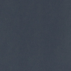 Charlotte Fabric V803 Navy