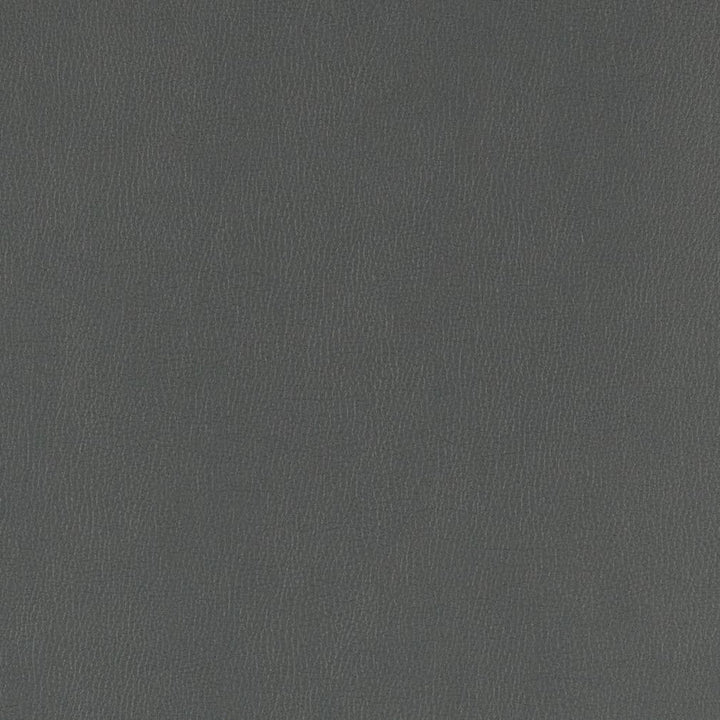 V805 Coal by Charlotte Designer Fabric Value Vinyl III 22oz, Face: 100% Polyurethane, Back: 70% Polyester, 30% Cotton Asia Exceeds 40,0000 Wyzenbeek Rubs (Heavy Duty) </p><p>Repeat: No Repeat 54 Inches - Swanky Fabrics -