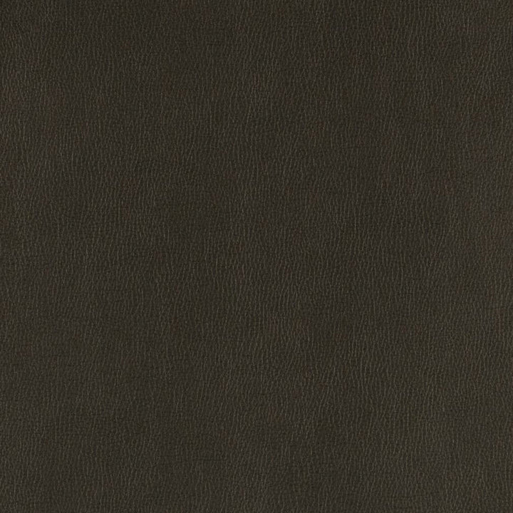 V806 Onyx by Charlotte Designer Fabric Value Vinyl III 22oz, Face: 100% Polyurethane, Back: 70% Polyester, 30% Cotton Asia Exceeds 40,0000 Wyzenbeek Rubs (Heavy Duty) </p><p>Repeat: No Repeat 54 Inches - Swanky Fabrics -