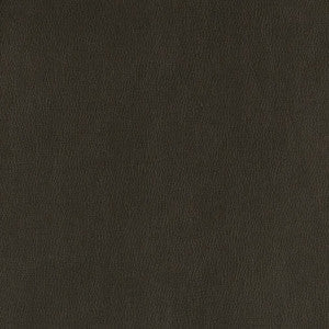 Charlotte Fabric V806 Onyx