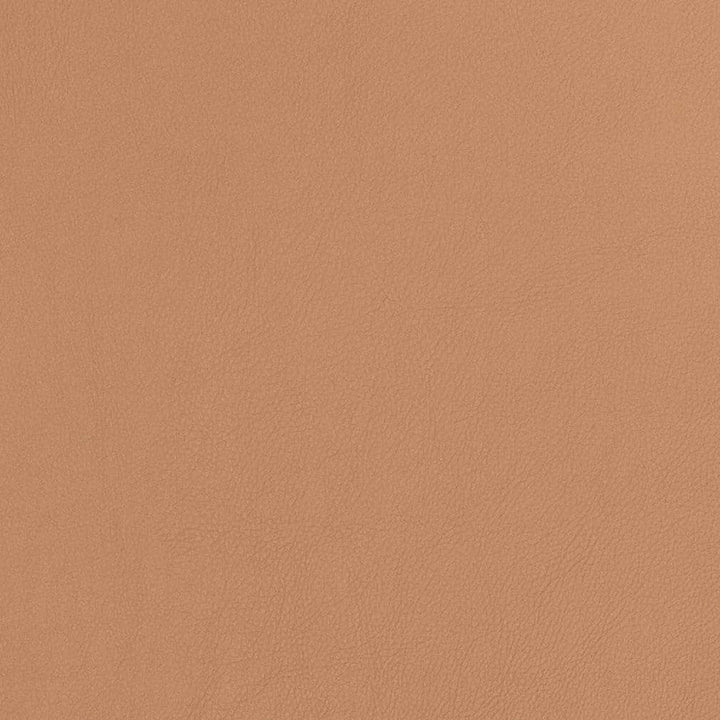 V810 by Charlotte Designer Fabric Breathables V 100% Polyurethane, 26oz. Asia Exceeds 2,000,000 Wyzenbeek Rubs (Heavy Duty) No Repeat 54 Inches - Swanky Fabrics -