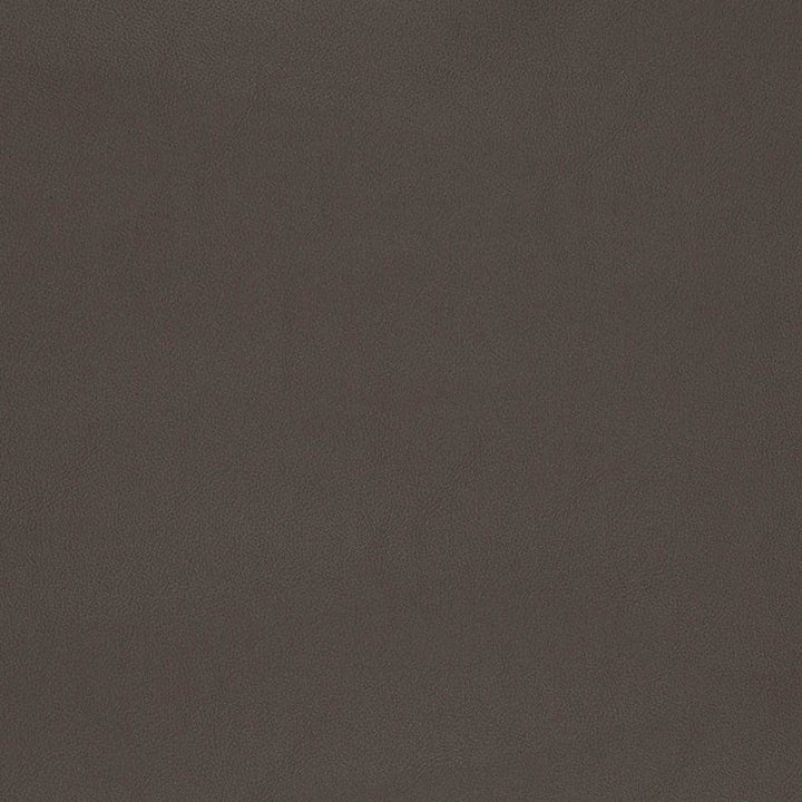 V812 by Charlotte Designer Fabric Breathables V 100% Polyurethane, 26oz. Asia Exceeds 2,000,000 Wyzenbeek Rubs (Heavy Duty) No Repeat 54 Inches - Swanky Fabrics -