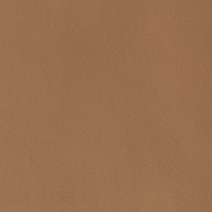 Charlotte Fabric V813