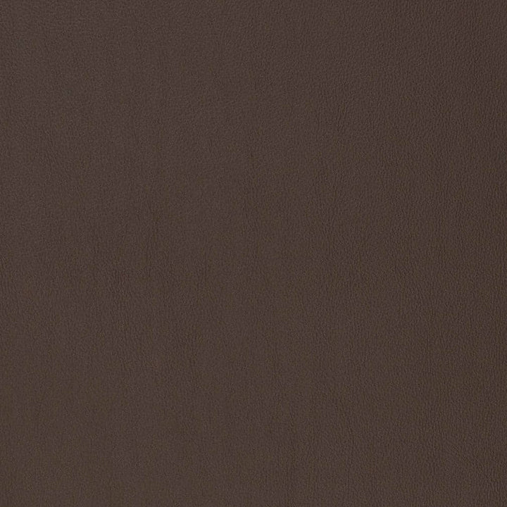 V816 by Charlotte Designer Fabric Breathables V 100% Polyurethane, 26oz. Asia Exceeds 2,000,000 Wyzenbeek Rubs (Heavy Duty) No Repeat 54 Inches - Swanky Fabrics -