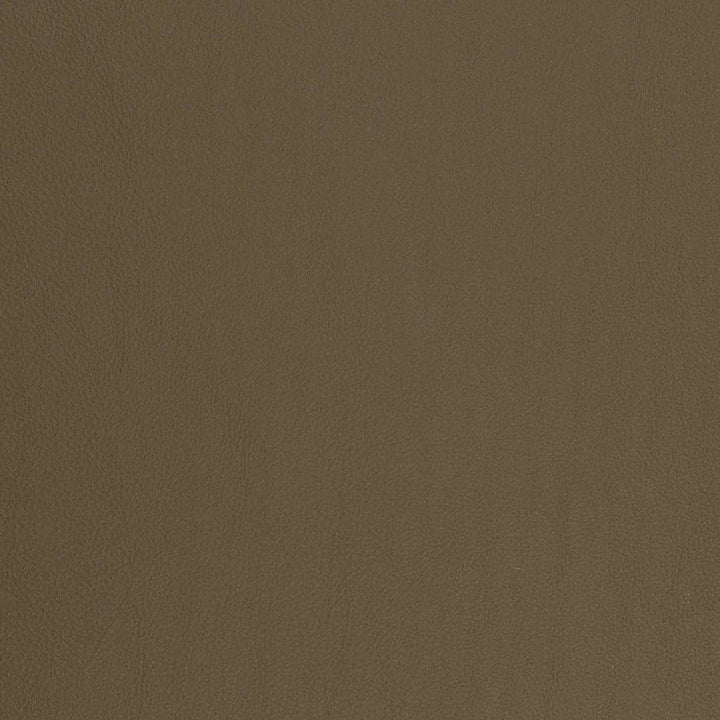 V817 by Charlotte Designer Fabric Breathables V 100% Polyurethane, 26oz. Asia Exceeds 2,000,000 Wyzenbeek Rubs (Heavy Duty) No Repeat 54 Inches - Swanky Fabrics -