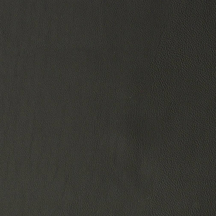 V818 by Charlotte Designer Fabric Breathables V 100% Polyurethane, 26oz. Asia Exceeds 2,000,000 Wyzenbeek Rubs (Heavy Duty) No Repeat 54 Inches - Swanky Fabrics -
