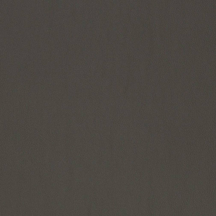 V819 by Charlotte Designer Fabric Breathables V 100% Polyurethane, 26oz. Asia Exceeds 2,000,000 Wyzenbeek Rubs (Heavy Duty) No Repeat 54 Inches - Swanky Fabrics -