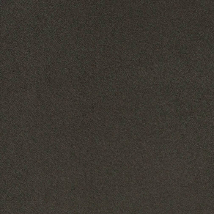 V822 by Charlotte Designer Fabric Breathables V 100% Polyurethane, 26oz. Asia Exceeds 2,000,000 Wyzenbeek Rubs (Heavy Duty) No Repeat 54 Inches - Swanky Fabrics -