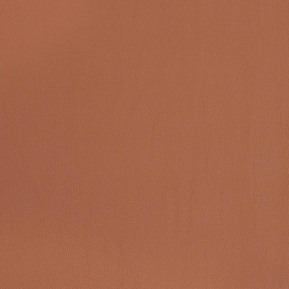 V823 by Charlotte Designer Fabric Breathables V 100% Polyurethane, 26oz. Asia Exceeds 2,000,000 Wyzenbeek Rubs (Heavy Duty) No Repeat 54 Inches - Swanky Fabrics -