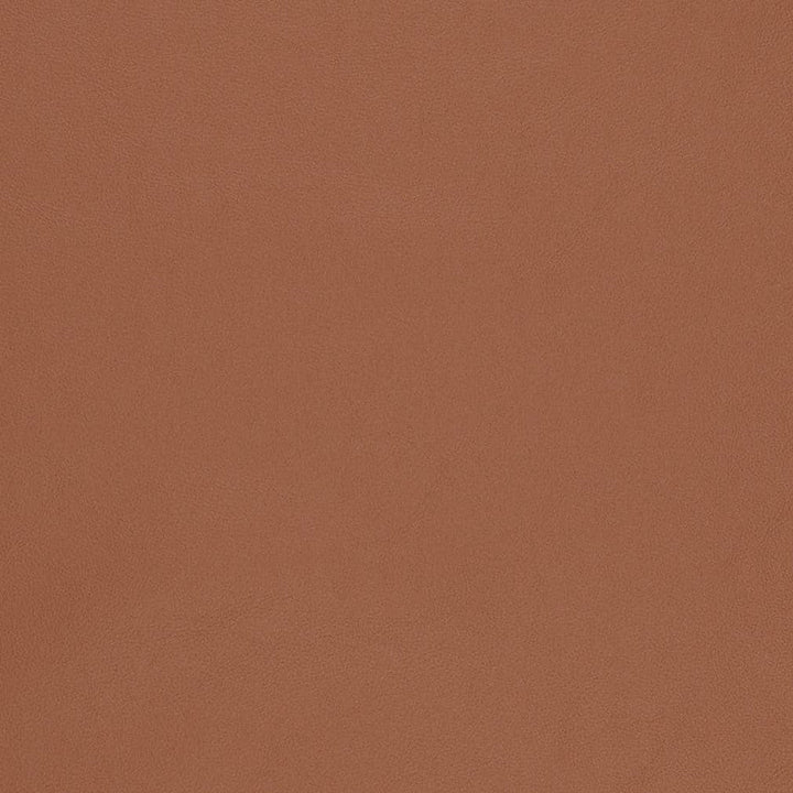 V824 by Charlotte Designer Fabric Breathables V 100% Polyurethane, 26oz. Asia Exceeds 2,000,000 Wyzenbeek Rubs (Heavy Duty) No Repeat 54 Inches - Swanky Fabrics -