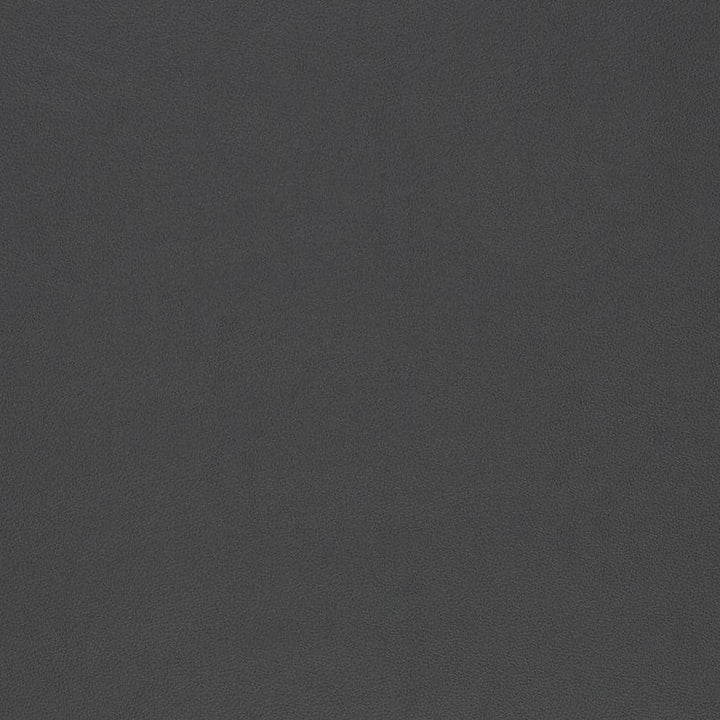 V825 by Charlotte Designer Fabric Breathables V 100% Polyurethane, 26oz. Asia Exceeds 2,000,000 Wyzenbeek Rubs (Heavy Duty) No Repeat 54 Inches - Swanky Fabrics -
