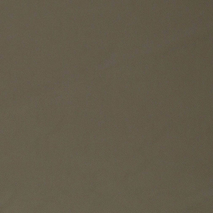 V826 by Charlotte Designer Fabric Breathables V 100% Polyurethane, 26oz. Asia Exceeds 2,000,000 Wyzenbeek Rubs (Heavy Duty) No Repeat 54 Inches - Swanky Fabrics -