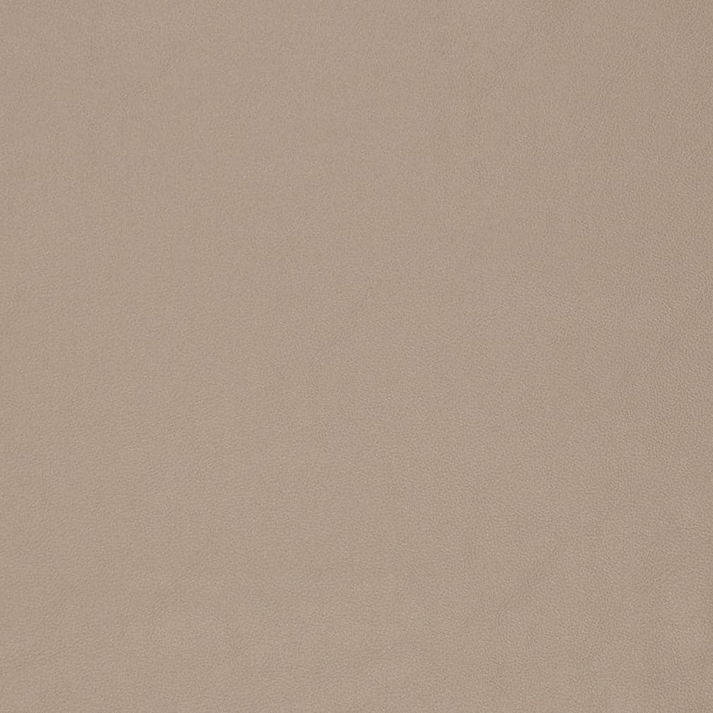 V829 by Charlotte Designer Fabric Breathables V 100% Polyurethane, 26oz. Asia Exceeds 2,000,000 Wyzenbeek Rubs (Heavy Duty) No Repeat 54 Inches - Swanky Fabrics -