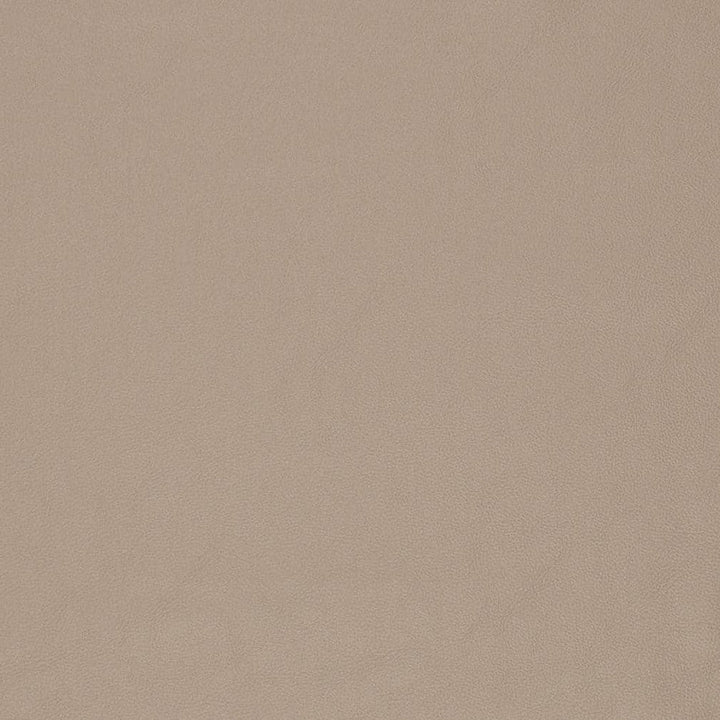 V829 by Charlotte Designer Fabric Breathables V 100% Polyurethane, 26oz. Asia Exceeds 2,000,000 Wyzenbeek Rubs (Heavy Duty) No Repeat 54 Inches - Swanky Fabrics -