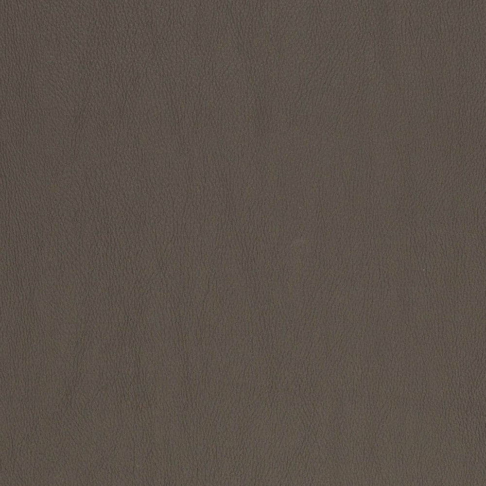 V833 by Charlotte Designer Fabric Breathables V 100% Polyurethane, 26oz. Asia Exceeds 2,000,000 Wyzenbeek Rubs (Heavy Duty) No Repeat 54 Inches - Swanky Fabrics -