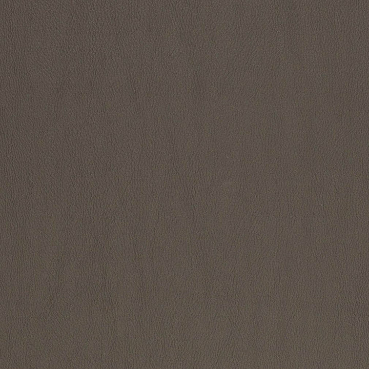V833 by Charlotte Designer Fabric Breathables V 100% Polyurethane, 26oz. Asia Exceeds 2,000,000 Wyzenbeek Rubs (Heavy Duty) No Repeat 54 Inches - Swanky Fabrics -