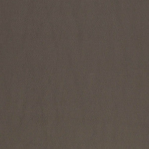 Charlotte Fabric V833