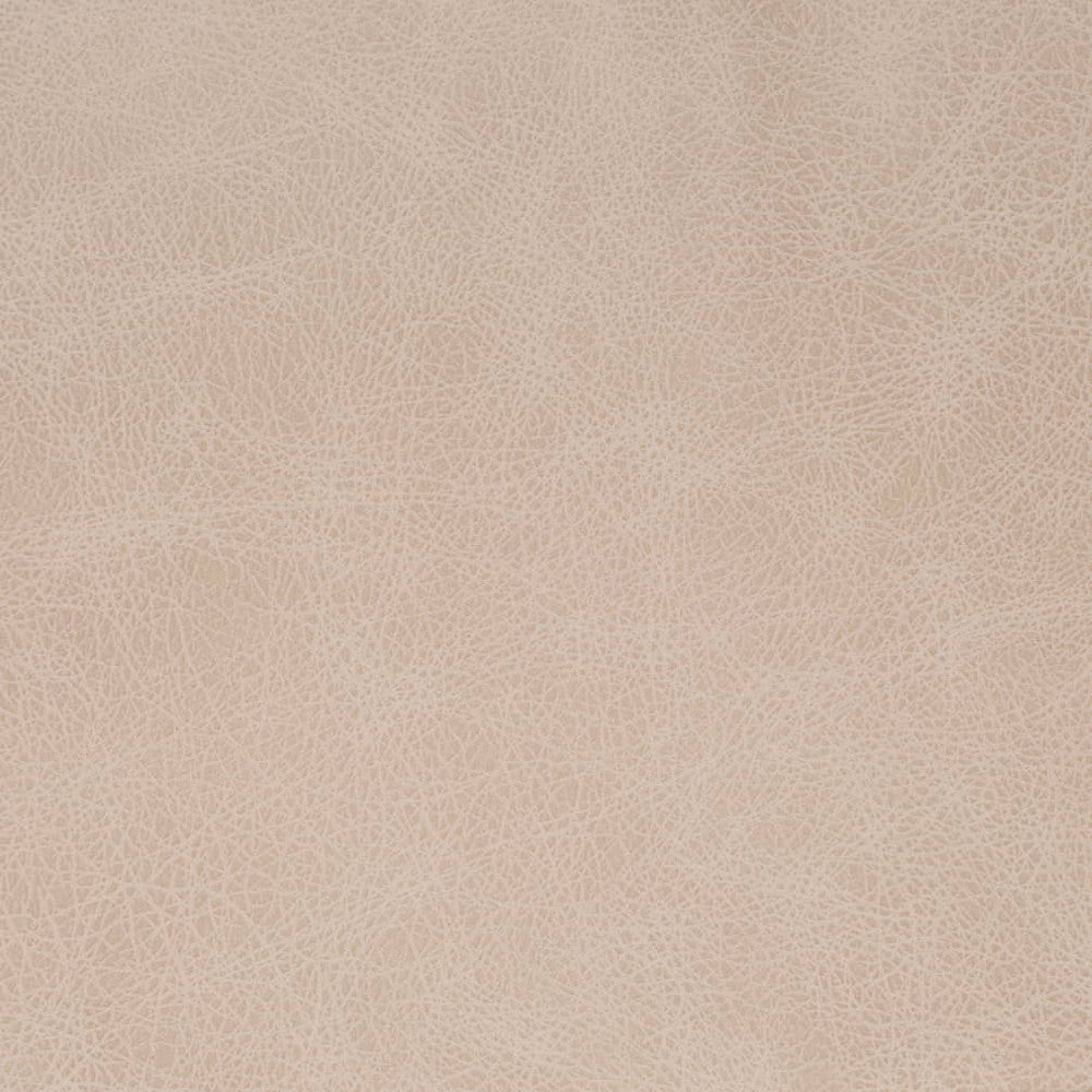 V857 Fog by Charlotte Fabric Leather Looks 100% Polyester Asia Exceeds 100,000 Wyzenbeek Rubs (Heavy Duty) No Repeat 54 Inches - Fabric Carolina -