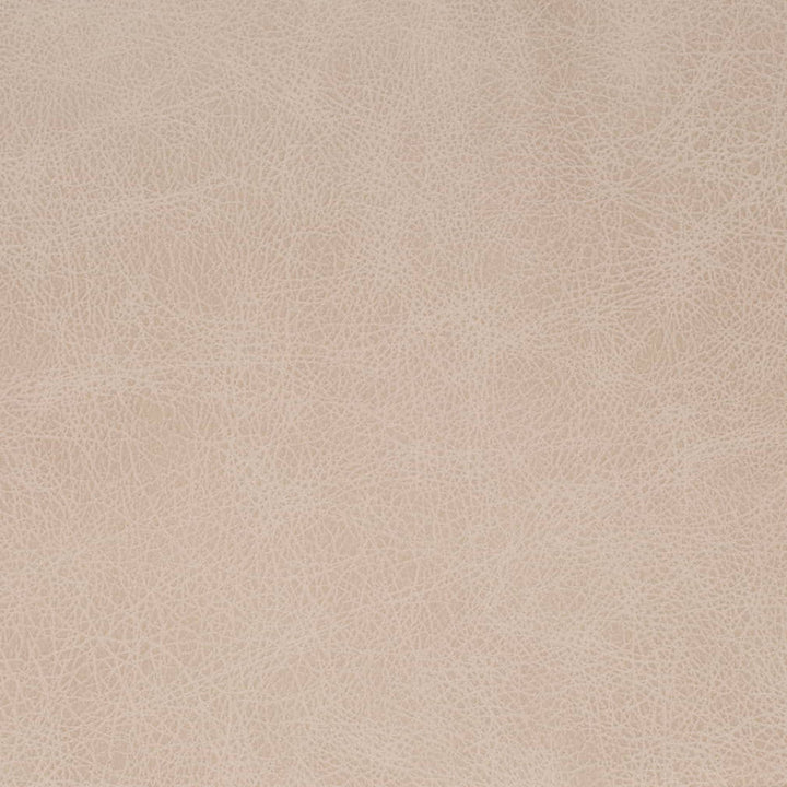 V857 Fog by Charlotte Fabric Leather Looks 100% Polyester Asia Exceeds 100,000 Wyzenbeek Rubs (Heavy Duty) No Repeat 54 Inches - Fabric Carolina -