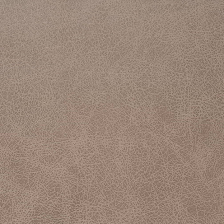 V858 Latte by Charlotte Fabric Leather Looks 100% Polyester Asia Exceeds 100,000 Wyzenbeek Rubs (Heavy Duty) No Repeat 54 Inches - Fabric Carolina -