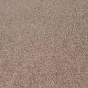 Charlotte Fabric V858 Latte