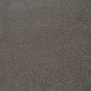 Charlotte Fabric V859 Steel