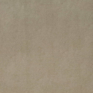 Charlotte Fabric V863 Flint
