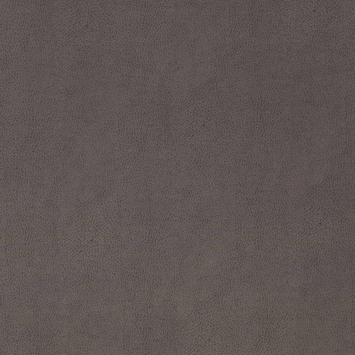V866 Gunmetal by Charlotte Fabric Leather Looks 69% Polyurethane, 28% Polyester, 3% Cotton Asia Exceeds 100,000 Wyzenbeek Rubs (Heavy Duty) No Repeat 54 Inches - Fabric Carolina -