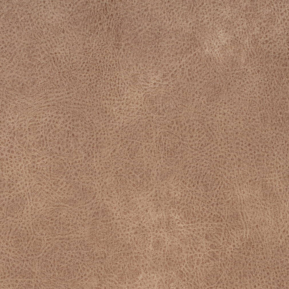 V868 Buckskin by Charlotte Fabric Leather Looks 100% Polyester Asia Exceeds 100,000 Wyzenbeek Rubs (Heavy Duty) No Repeat 54 Inches - Fabric Carolina -