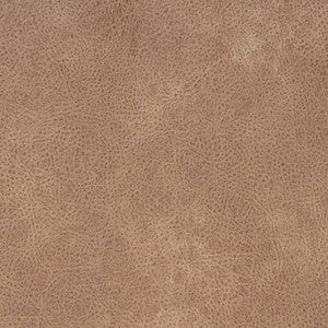 Charlotte Fabric V868 Buckskin