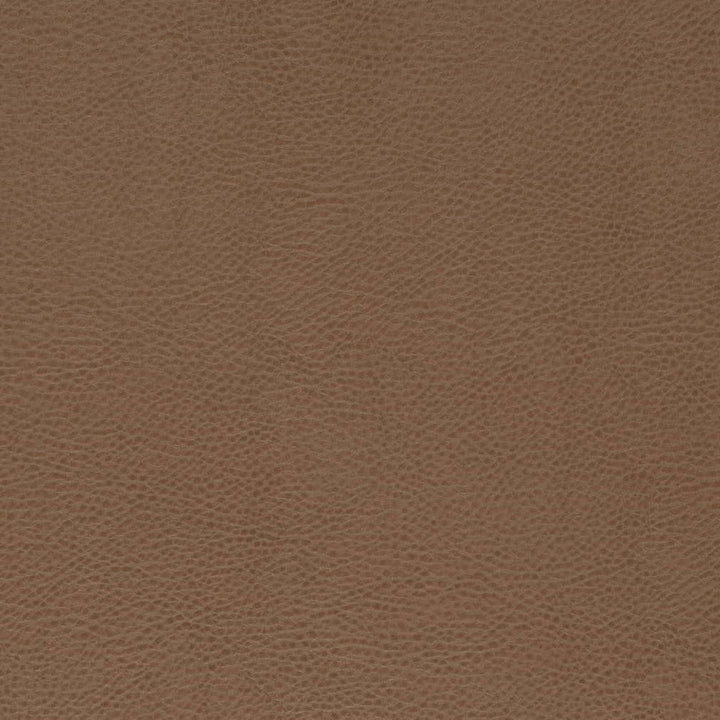 V869 Bronze by Charlotte Fabric Leather Looks 100% Polyurethane Asia Exceeds 100,000 Wyzenbeek Rubs (Heavy Duty) No Repeat 54 Inches - Fabric Carolina -