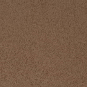 Charlotte Fabric V869 Bronze