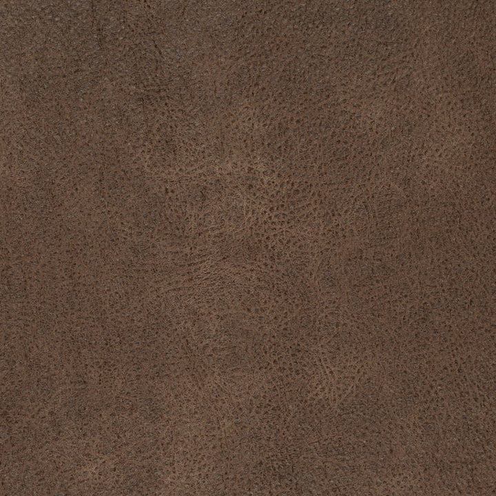 V870 Bark by Charlotte Fabric Leather Looks 100% Polyester Asia Exceeds 100,000 Wyzenbeek Rubs (Heavy Duty) No Repeat 54 Inches - Fabric Carolina -