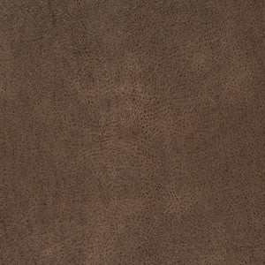 Charlotte Fabric V870 Bark
