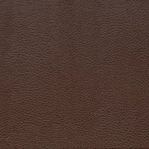 Charlotte Fabric V872 Pecan
