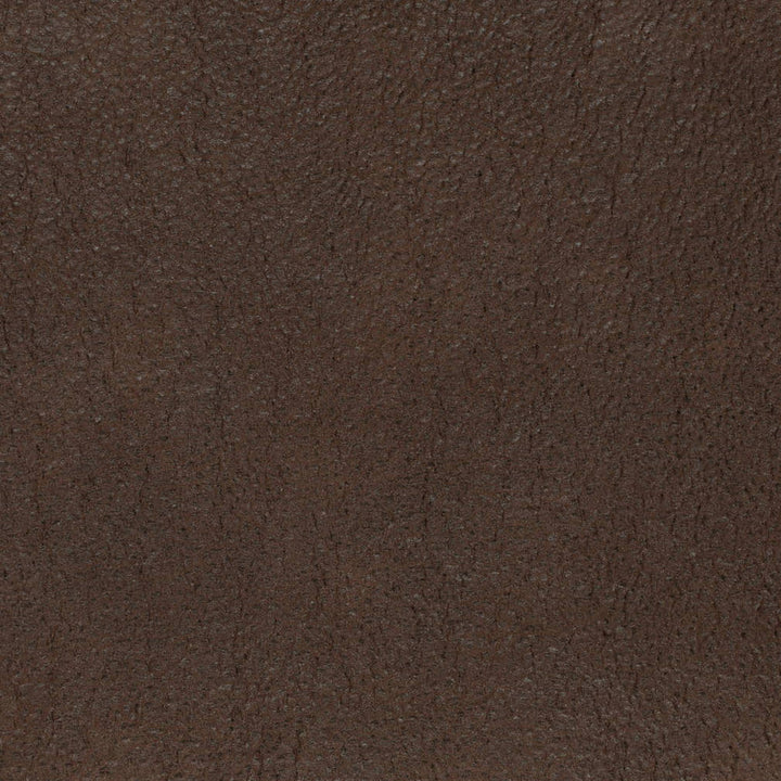 V873 Bison by Charlotte Fabric Leather Looks 100% Polyester Asia Exceeds 100,000 Wyzenbeek Rubs (Heavy Duty) No Repeat 54 Inches - Fabric Carolina -