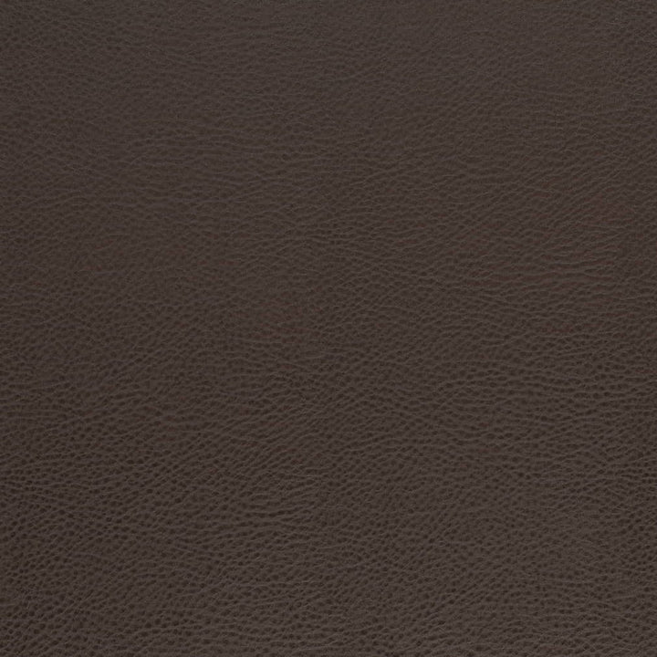 V874 Walnut by Charlotte Fabric Leather Looks 100% Polyurethane Asia Exceeds 100,000 Wyzenbeek Rubs (Heavy Duty) No Repeat 54 Inches - Fabric Carolina -